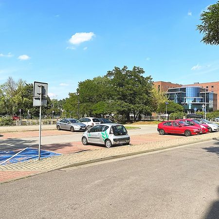White Apartments - Free Parking Katowice Exterior photo
